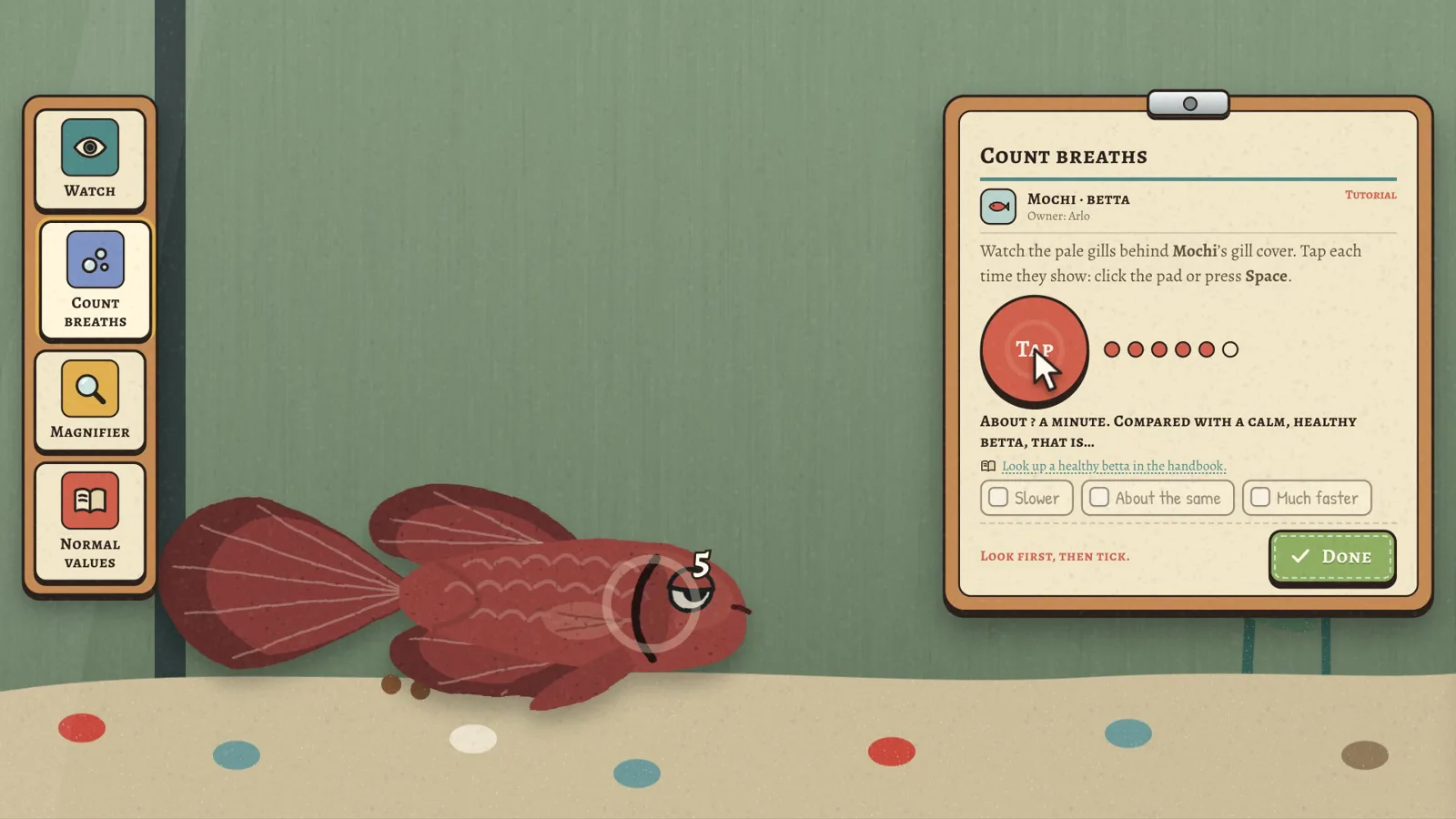 Counting a betta's breaths at the bottom of its tank, with the exam notes open