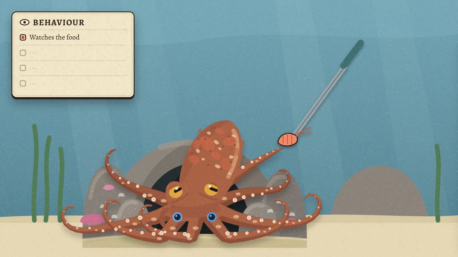 An octopus reaches for food held in tongs, with behaviour notes in the corner